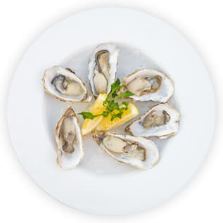 oyster
