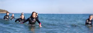 activité mer finistère sud